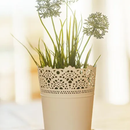 Am Priel 20 Dg Lejlighed Otterndorf